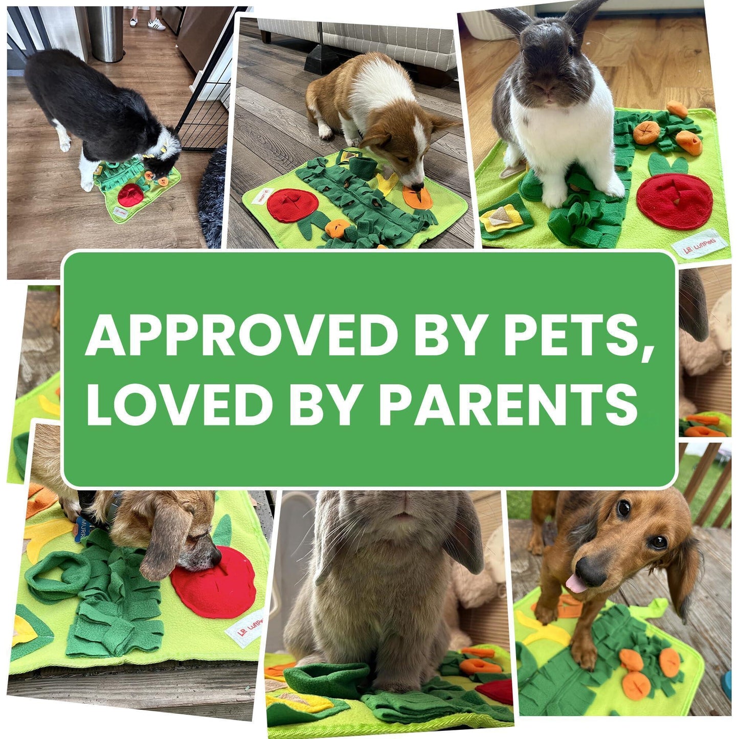 Snuffle Mat for Small Dogs & Cats Soft Foraging Mat for Rabbits Washable anti Slip Perfect for Bunnies Guinea Pigs & Hamsters Sniff Puzzle Toy for Puppies (Small)